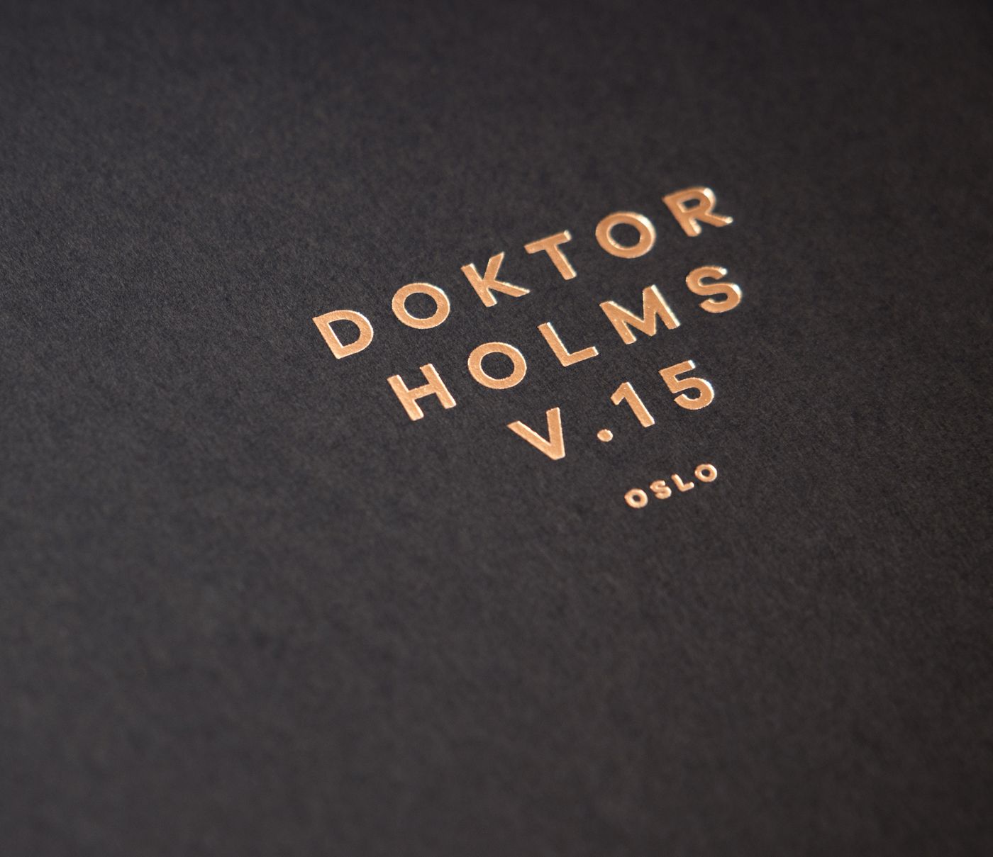 DH15_detalj3